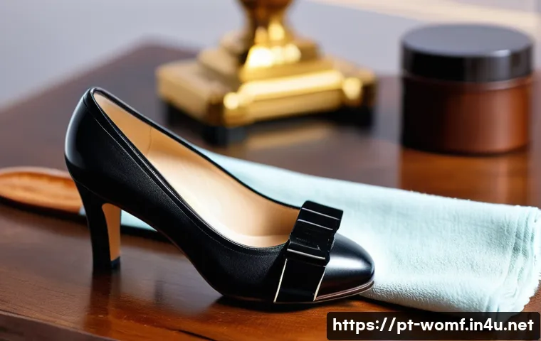 여성용 하이힐 관리법 - A detailed close-up of a pair of high-heeled shoes made of polished leather being gently cleaned wit...